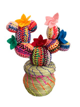 Nopalito cactus basket Small