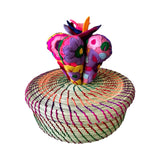 Tortillero flowering Succulent basket