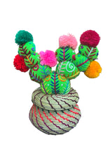 Candelabra cactus basket Small