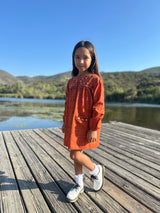 Heidi embroidered plaid dress terracotta